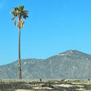 134 FWY